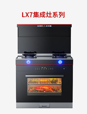 LX7明星产品-2